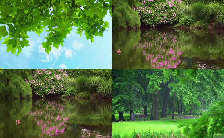 夏日印象