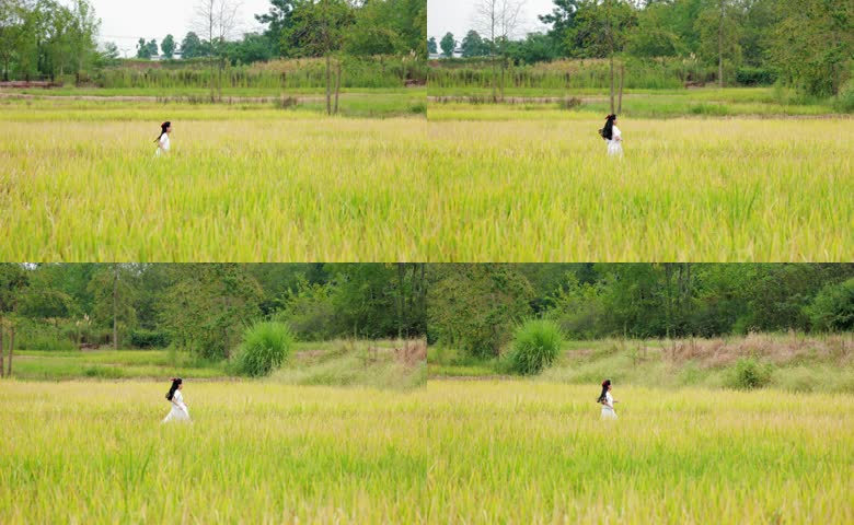 人物形象女孩在田埂奔跑
