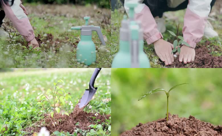 植树节户外种树