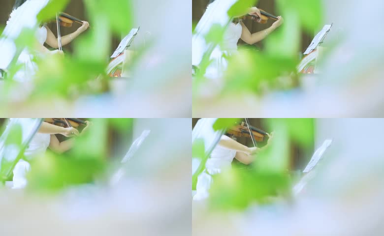 小提琴演奏朦胧诗意