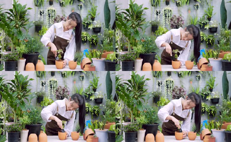园艺种植花卉人物