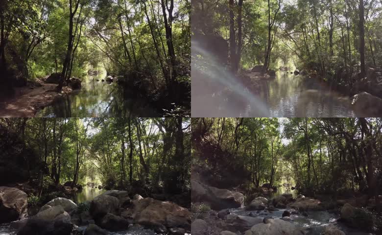 树林溪流溪涧小径