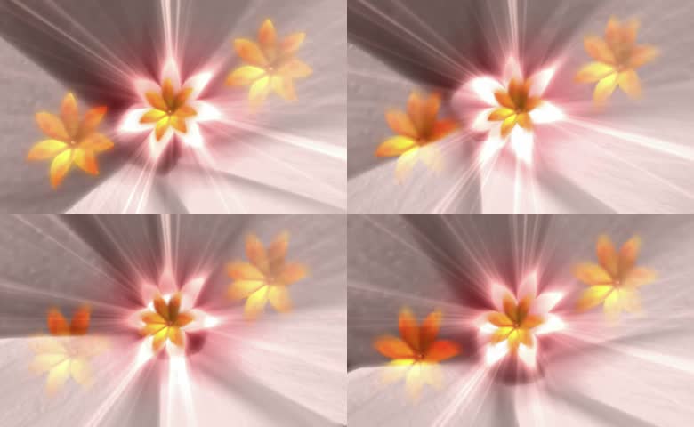 柔光粉白鸡蛋花流动光效画面