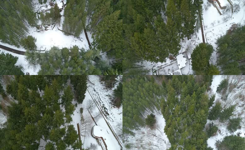 高空俯拍冬日积雪林间环木屋