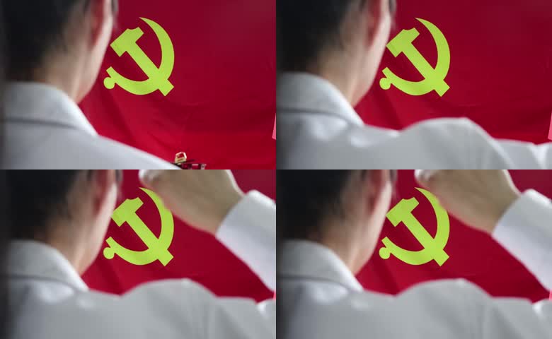 向党旗宣誓