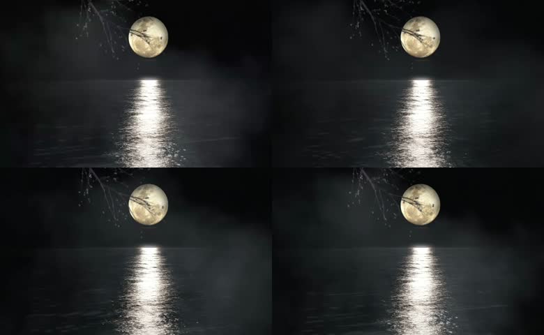 月夜下的湖面景色