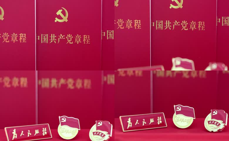 党章党徽为人民服务