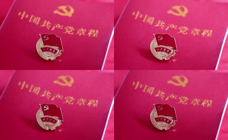 党章党徽