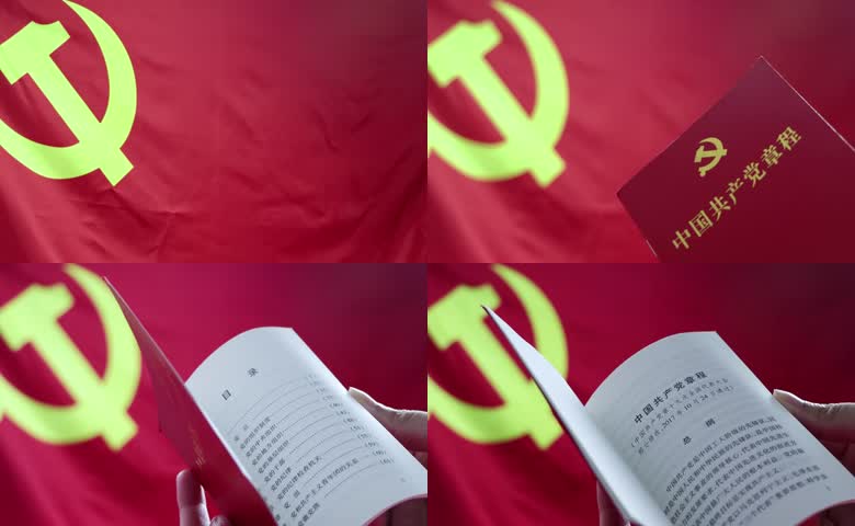 党旗党章翻阅