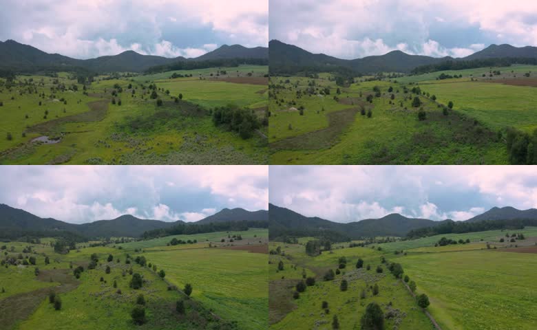 开阔翠绿郊野草地