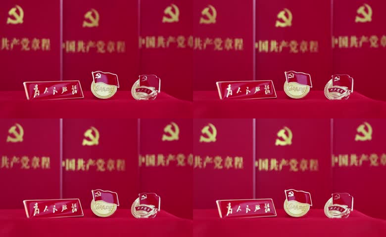 党章为人民服务党徽