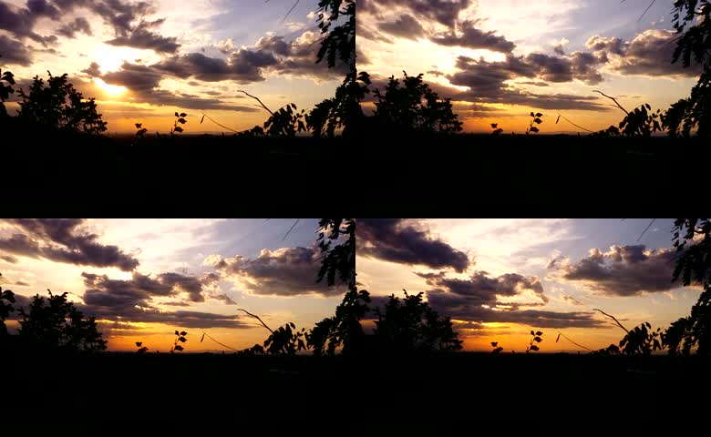 郊外林间眺望日落天空