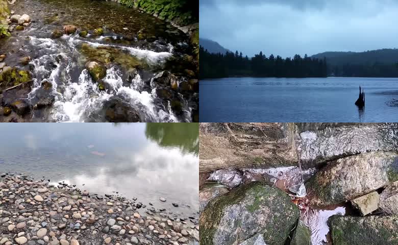 山光水色