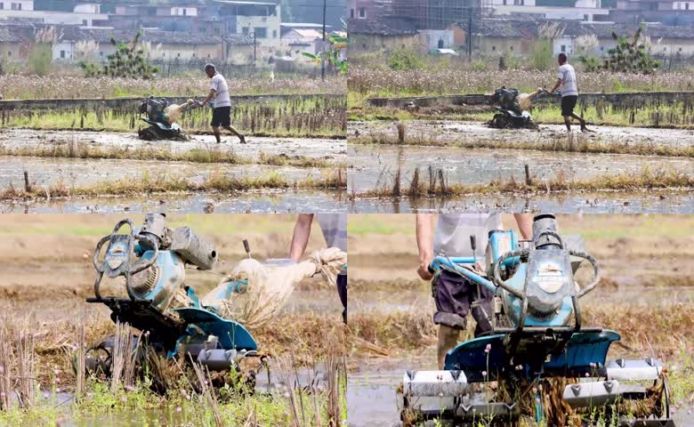 农户操控手扶耕田机水田翻耕
