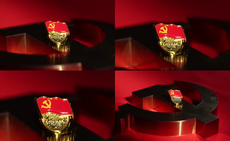 党建党徽实拍