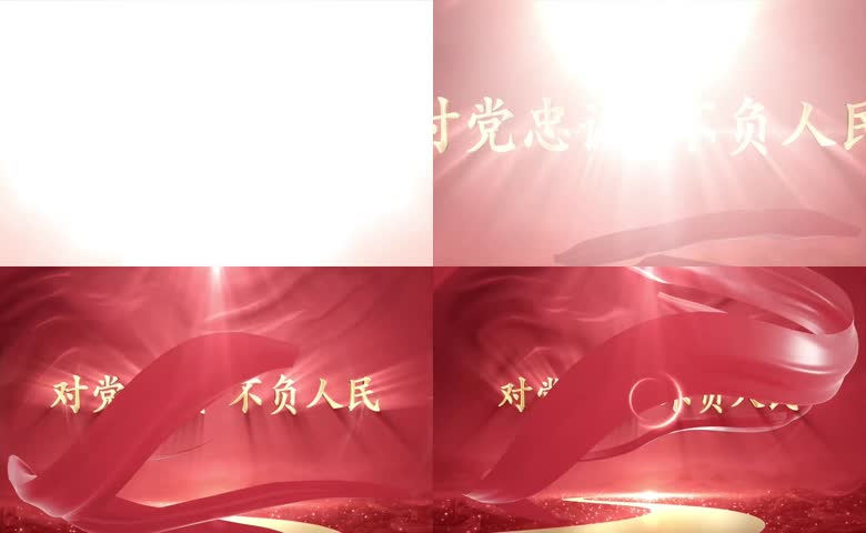 对党忠诚不负人民