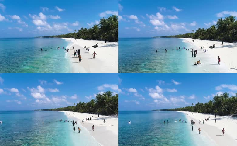 椰树林海边民众浅滩玩水