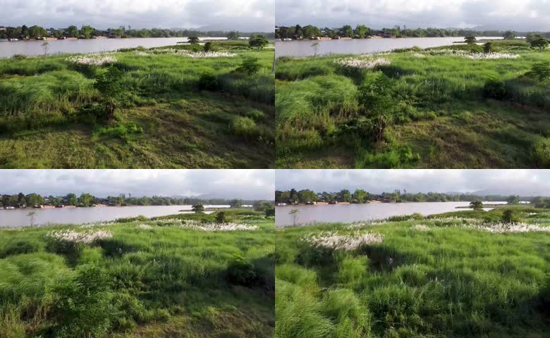 湖边草地绿意盎然