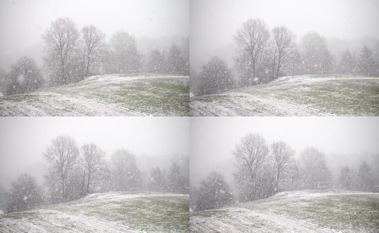 郊外旷野大雪纷飞