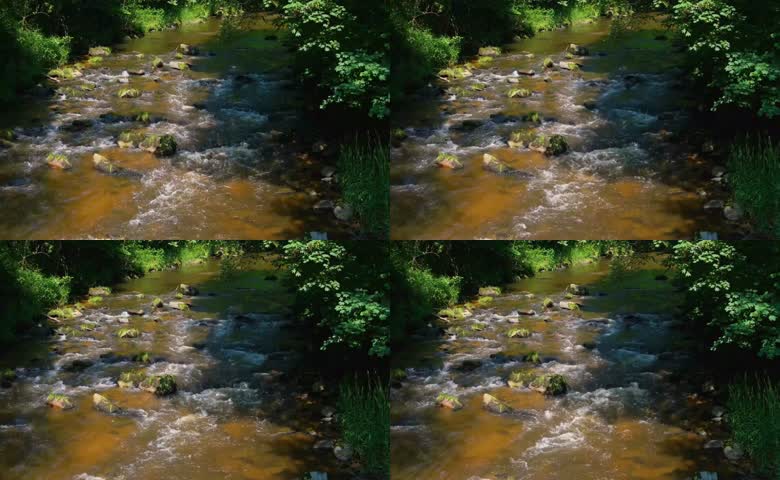 林间湍急小溪流水