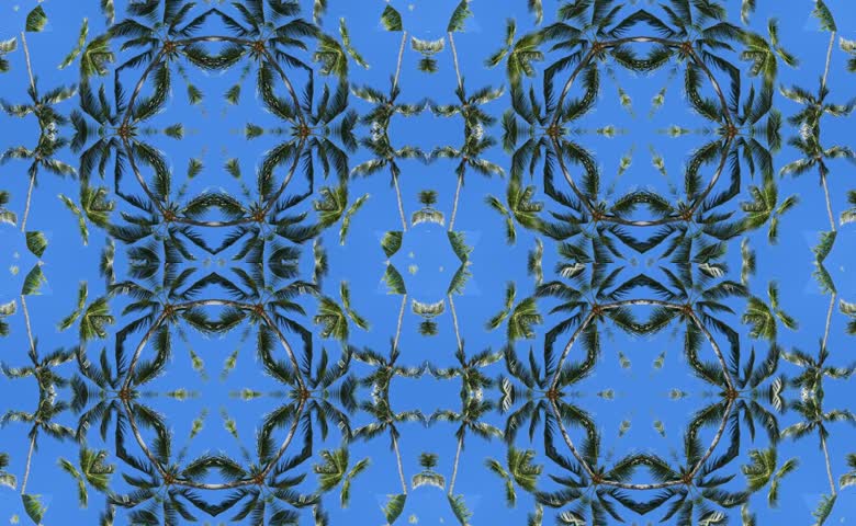 热带椰树万花筒动态效果