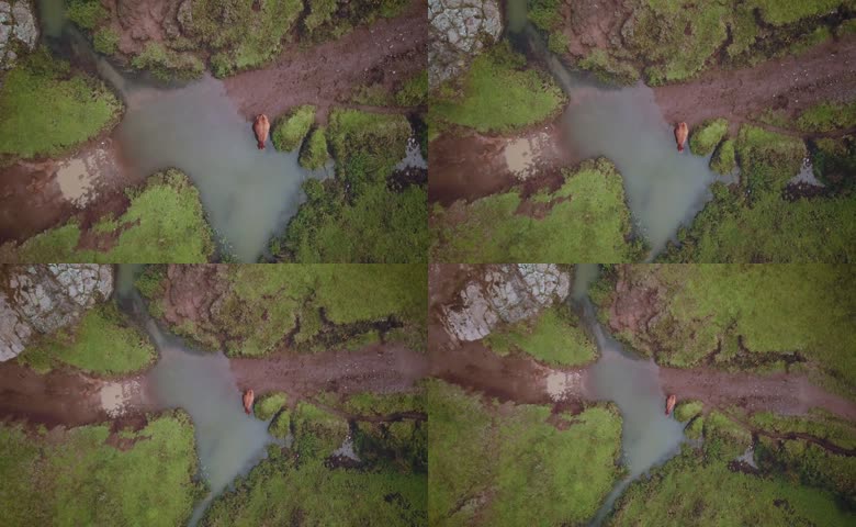 山间湿地草地溪流航拍