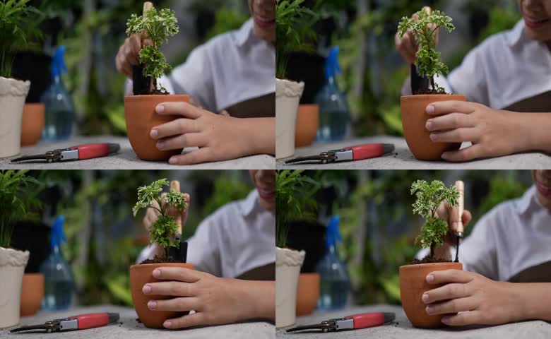 园艺种植花卉人物栽培