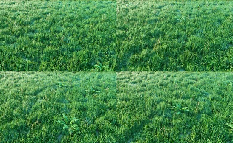 草地航拍草原