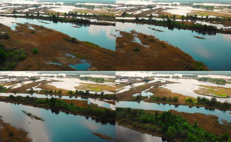 河滩湿地风光