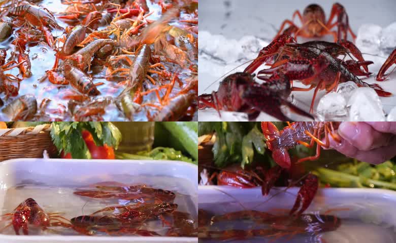 鲜活小龙虾清洗