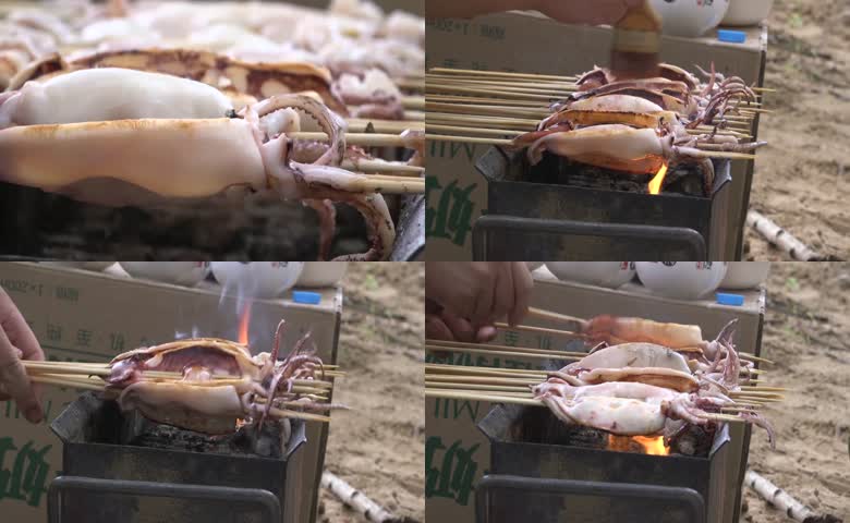 户外炭火烤制鱿鱼