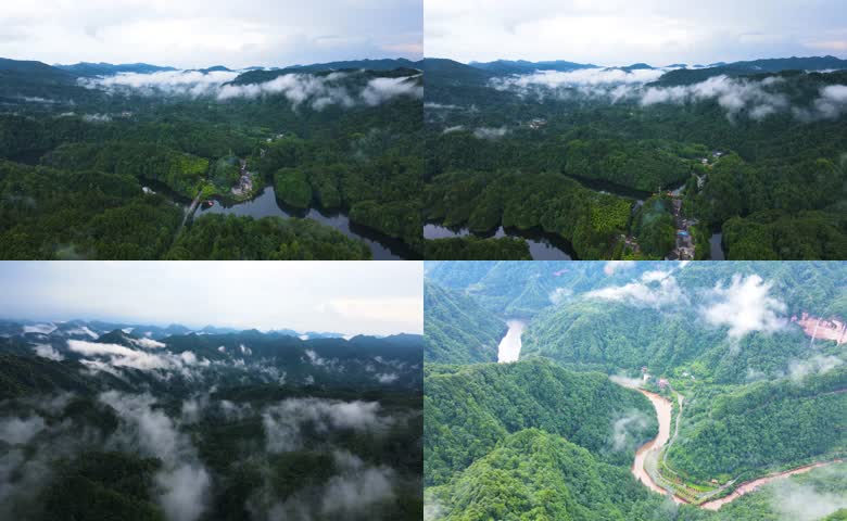 重庆四面山森林大自然