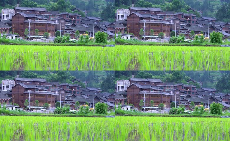 水田旁少数民族古村寨