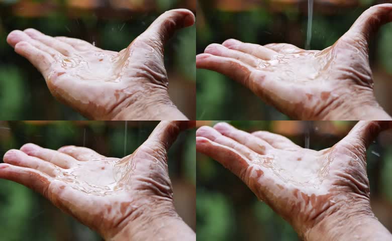 手接雨水的瞬间