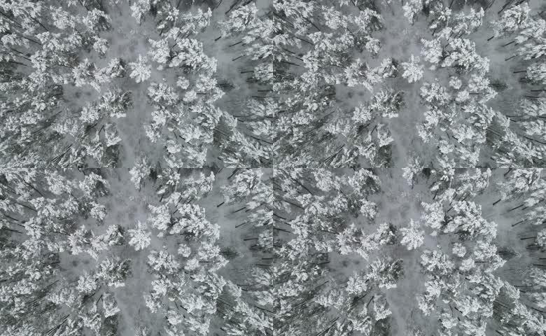 冬季森林雪景俯瞰