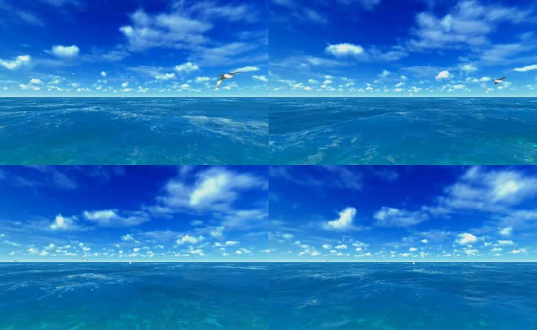晴空下碧海蓝天群鸥飞翔,