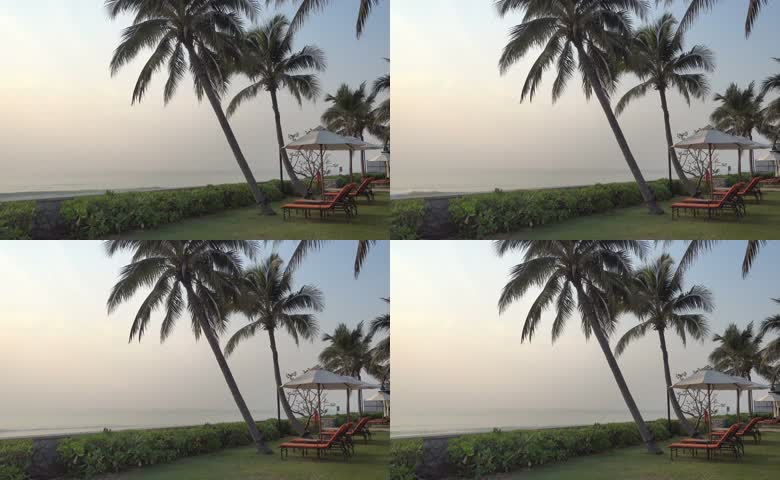 椰林摇曳下的宁静海滨美景