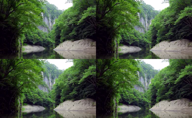 自然峡谷中的森林景观