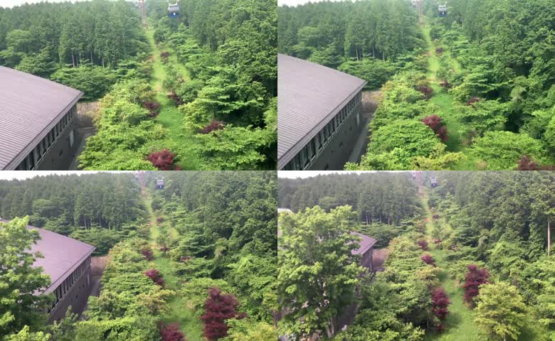 山林树木行道树森林山林小屋