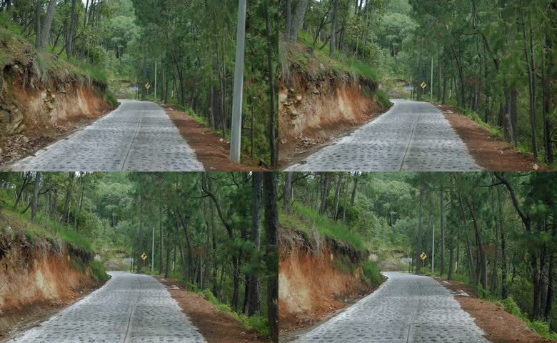 山林间蜿蜒林区公路