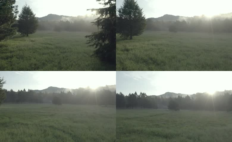 清晨晨雾山野草地日出