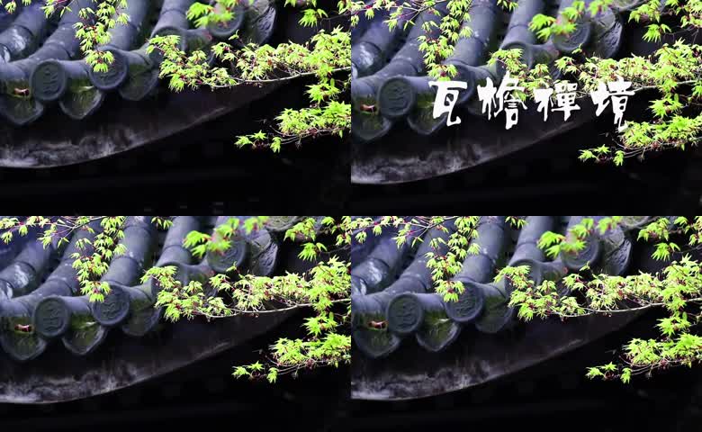 瓦檐禅境传统建筑