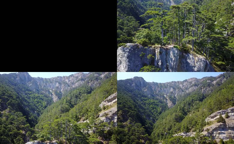 山林风光自然奇景