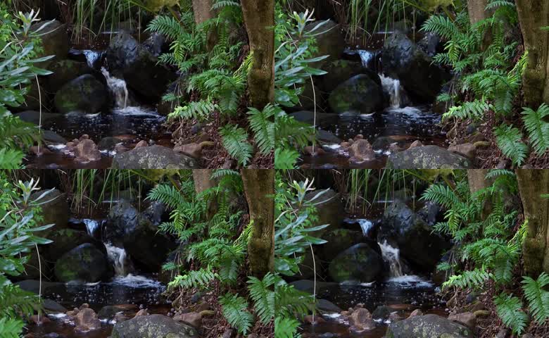 山间清澈溪水