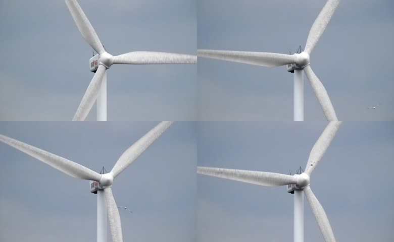 风力涡轮