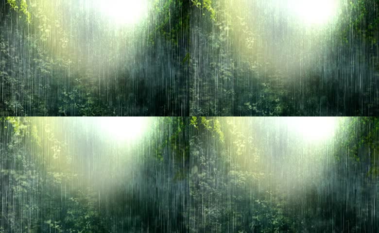 自然雨景与雨林风光