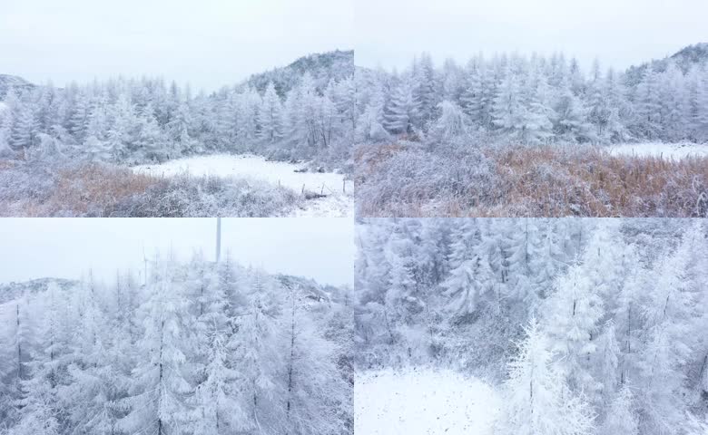 唯美雪景松树白雪弥漫银装素裹雪山