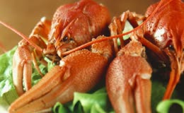 大个螯虾美食盛宴