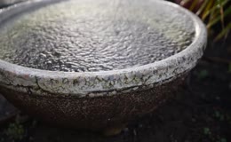 老旧石盆内水面泛起细密涟漪