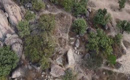 山野巨石树林地貌